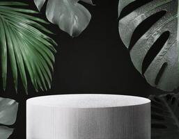 A white box with a plant on top photo