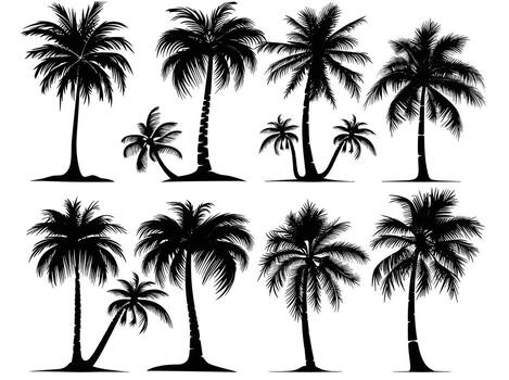 siluetas de varios palma arboles en contra un rígido blanco fondo, exhibiendo diverso tropical árbol formas y estilos. vector