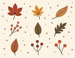 A collection of autumn leaves and berries illustrated on a light background, showcasing vibrant fall colors like red, orange, and brown. vector