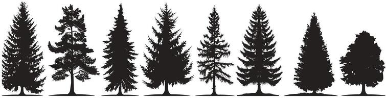 Silhouettes of various coniferous trees against a white background, showcasing diverse pine tree shapes and forms. vector