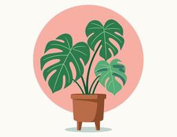 Illustration of a lush monstera plant in a terracotta pot with a simple geometric background. vector