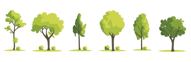 Illustration of various tree types with different shapes and green hues on a white background. vector