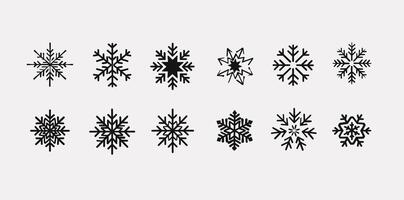A collection of twelve intricate black snowflake designs on a plain white background. vector