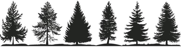 Silhouettes of various evergreen trees set against a light background. vector