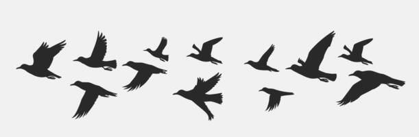 Silhouettes of various birds in flight against a light background. vector