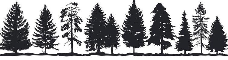 Silhouette of various pine trees standing tall against a white background, capturing nature's diversity and elegance. vector