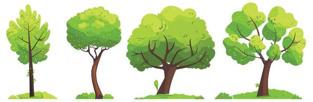 Four illustrated trees showcasing different shapes and foliage on a white background. vector
