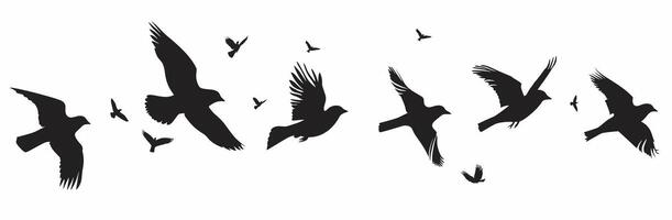 Silhouettes of birds in flight against a white background. vector