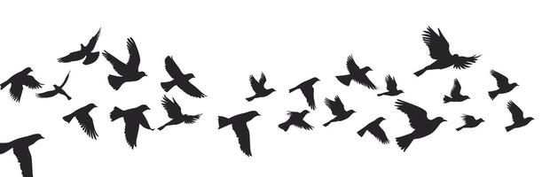 Silhouettes of birds in flight against a bright white sky, creating a sense of freedom and movement. vector