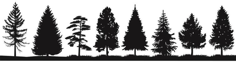 Silhouettes of various conifer trees create a striking forest scene in black and white. vector