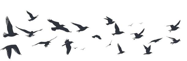 Silhouettes of birds in flight against a minimalistic white background. vector