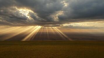 une Stupéfiant vue de une d'or le coucher du soleil plus de une champ avec spectaculaire des nuages. video
