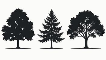 Silhouettes of three different tree species against a plain background, showcasing the diversity of leaf patterns and structures in nature. vector