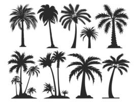 Silhouettes of various palm trees in black on a white background, showcasing diverse shapes and sizes. vector