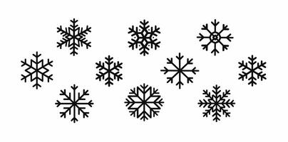 A collection of detailed black snowflake designs on a white background. vector