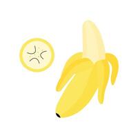 Illustration of a peeled banana with banana slice, showing details of texture and seeds. vector
