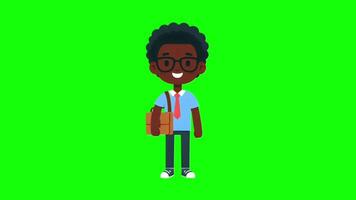 programador dia personagem Aparecer verde tela video