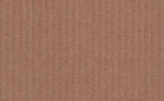 Cardboard texture. Abstract brown background vector