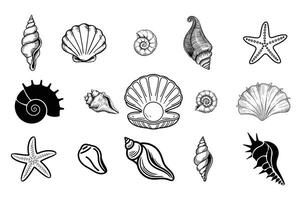 Seashell Silhouette bundle, Seashell ball icon Set. vector