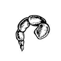 The prawns are cooked. graphics with the image of butchered shrimp. A hand-drawn black and white illustration of the dish. On a white background. For a menu or label. For cooking recipes. vector