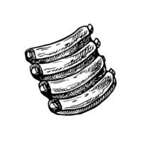 Meat ribs for cooking. graphics depicting a barbecue meat tenderloin with rib bones. A hand-drawn black and white illustration of the dish. For a menu, poster or label. For cooking recipes. vector