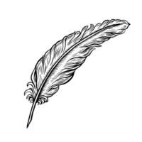 A quill pen for the manuscript. black and white hand-drawn graphics on a white background. An element of the design of invitations, greeting cards, and postcards. For posters, posters, and more vector