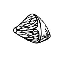 A slice of lemon. graphic illustration of sliced lime, orange, grapefruit. A black and white hand-drawn image of citrus fruits. On a white background. Great for menus, labels, cooking recipes. vector