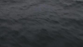 Ship Bow Wave White Water In Ocean Monterey Bay California video