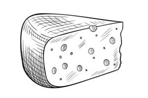 Cheese illustration. Linear drawing with wedge of gouda painted by black inks on isolated background. Line art of Dairy product for cookbook and recipe. Monochrome sketch of food for culinary. vector