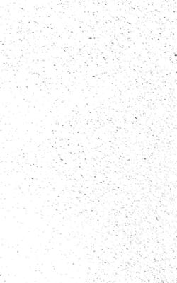 Abstract grunge texture with a dense distribution of black dots on a white background