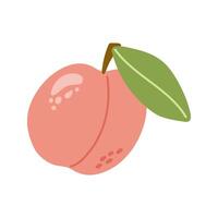 Summer juicy peach with leaf. Hand drawn cartoon fruit illustration. vector