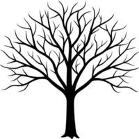 Silhouette of Tree without leaves vector