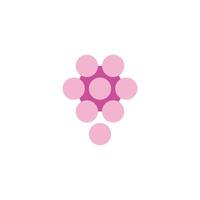 grape simple purple hexagon simple logo vector