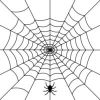 simple spider web vector