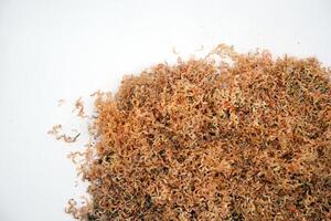White background, pencil lead shavings from sharpening photo