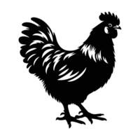 Black Silhouette Illustration of a Rooster Standing Tall vector