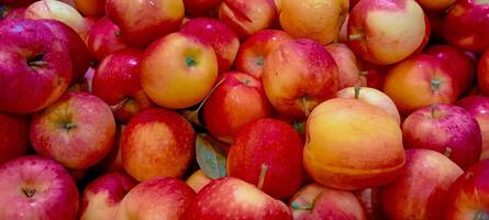 Box of shiny red apples photo