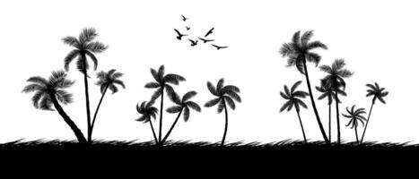 A group of palm tree silhouettes isolated black and white tone vector