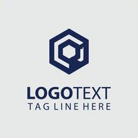 A hexagon logo design for a business vector