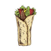 Hand-drawn colored sketch style burrito wrap with vegetables and meat pieces isolated on white background. Fast food illustration. Vintage drawing. Element for the design of labels vector