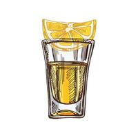 Hand-drawn colored shot glass with tequila with a slice of lime. Design element for the menu of bars and restaurants, alcohol stores. sketch illustration in engraving style. Mexican, Latin America. vector