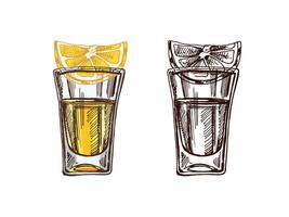 Hand-drawn colored and monochrome shot glass with tequila with a slice of lime. Design element for the menu of bars and restaurants, alcohol stores. sketch illustration in engraving style. vector