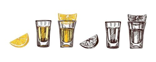 Hand-drawn colored and monochrome shot glasses with tequila with a slices of lime. Design element set for the menu of bars and restaurants, alcohol stores. sketches in engraving style. vector