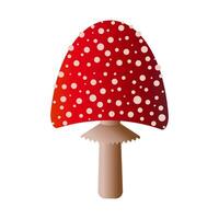 Spotted red fly agaric mushroom isolated on white background. vector