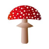 Spotted red fly agaric mushroom isolated on white background. vector