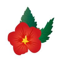 Red hibiscus flower with green leaves isolated on white background. vector