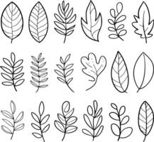 Diverse Botanical Collection of Leaf Illustrations Displaying Various Shapes and Vein Patterns Ideal for Botanical Studies and Artistic Projects Showcasing a Wide Range of Unique Leaf Structures vector