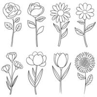 Hand-Drawn Flower Illustrations Clipart vector