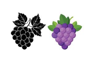 grape fruit illustration isolated silhouette and color white background vector