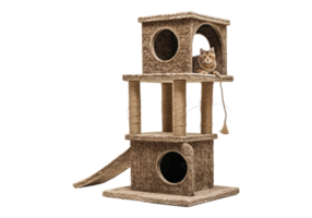A cat is sitting on a cat tree png